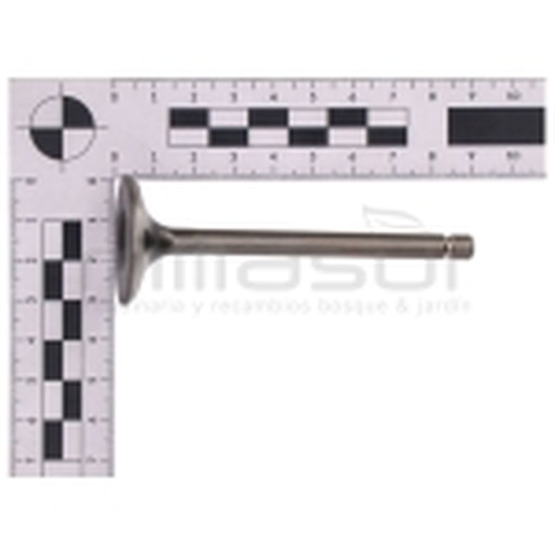 VALVULA ESCAPE MA460 (I4) - motoscamaralweb.com