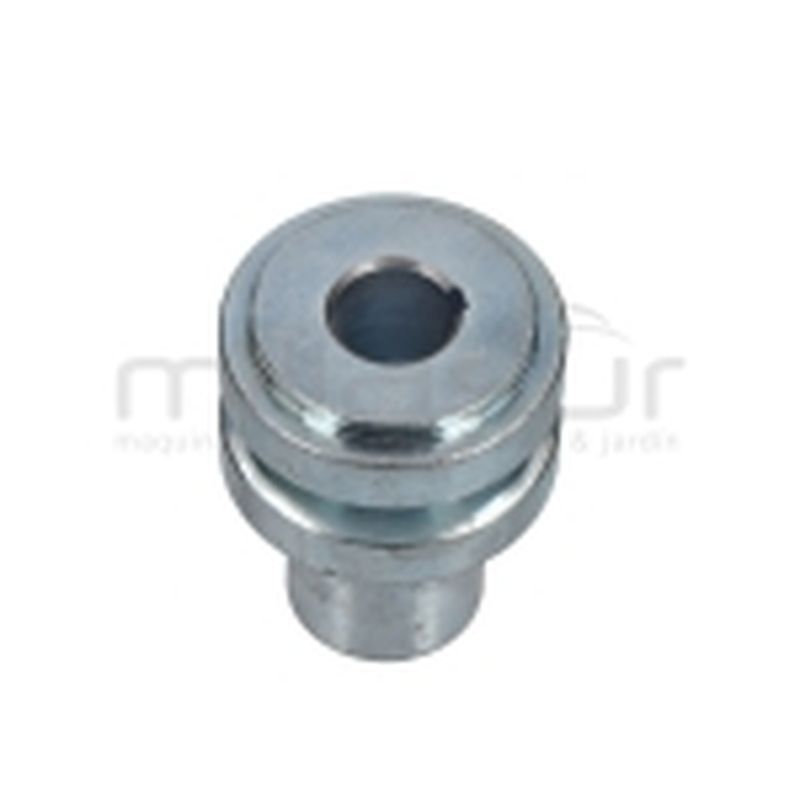 POLEA MOTOR - motoscamaralweb.com