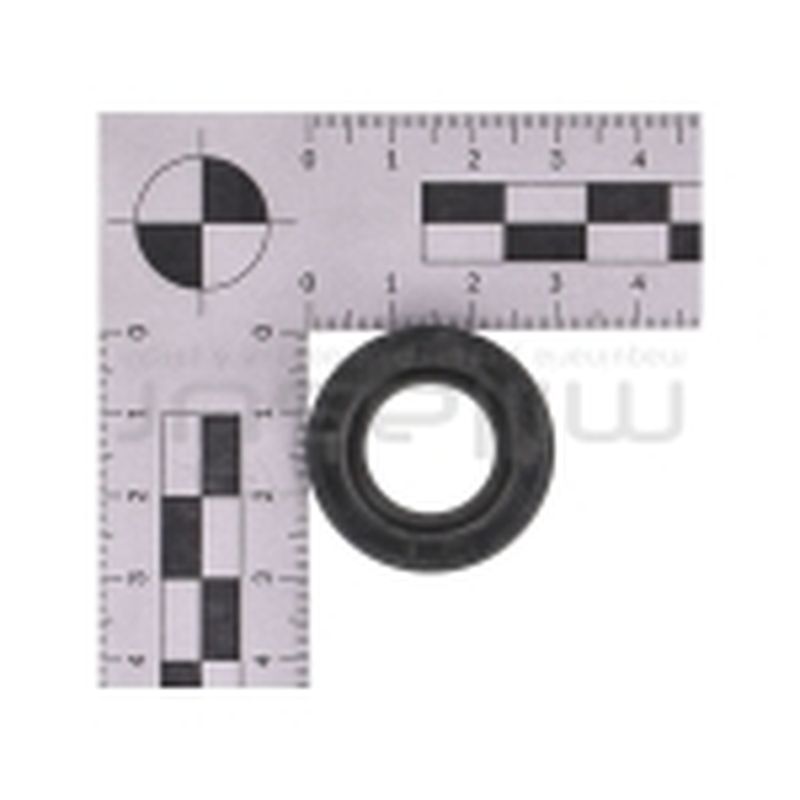 RETEN CIGÜEÑAL 17X30X6 MA80. MA81. MA82 (26). MA100 (9) - motoscamaralweb.com