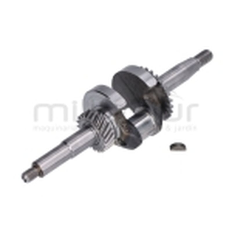 CIGÜEÑAL MA82 (32) - motoscamaralweb.com