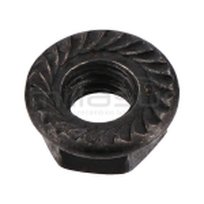 TUERCA TAPA CADENA M6 MB600 (23) - motoscamaralweb.com