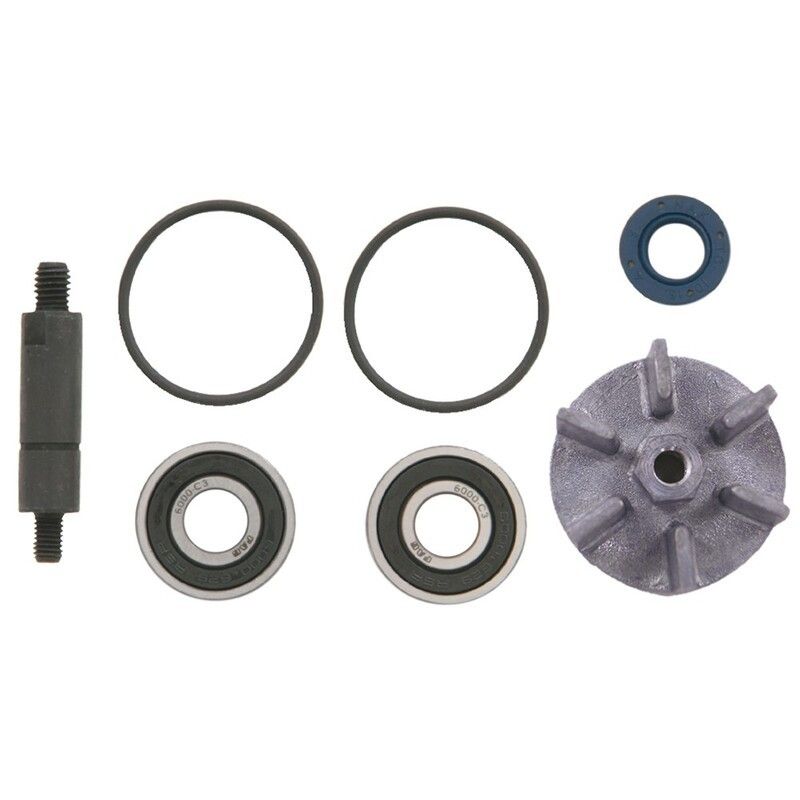 Set repara eje bomba de agua V PARTS - motoscamaralweb.com