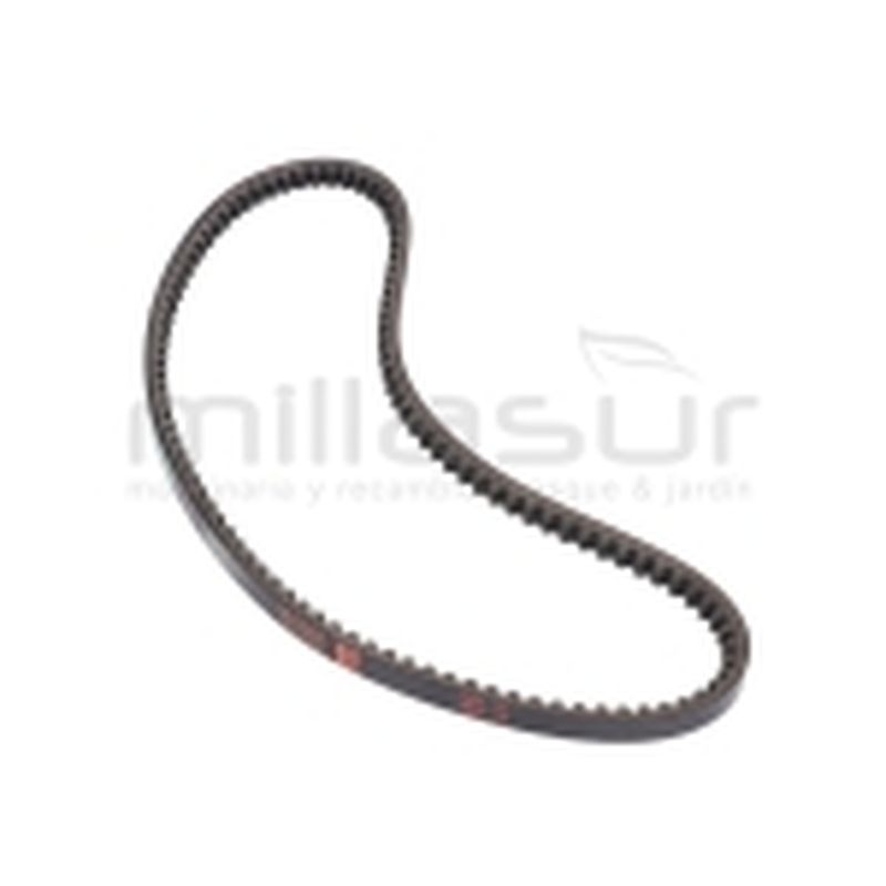 CORREA 13×895LW MC200 (6) - motoscamaralweb.com