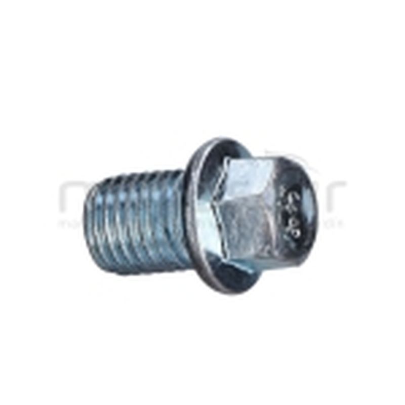 TORNILLO VACIADO - motoscamaralweb.com