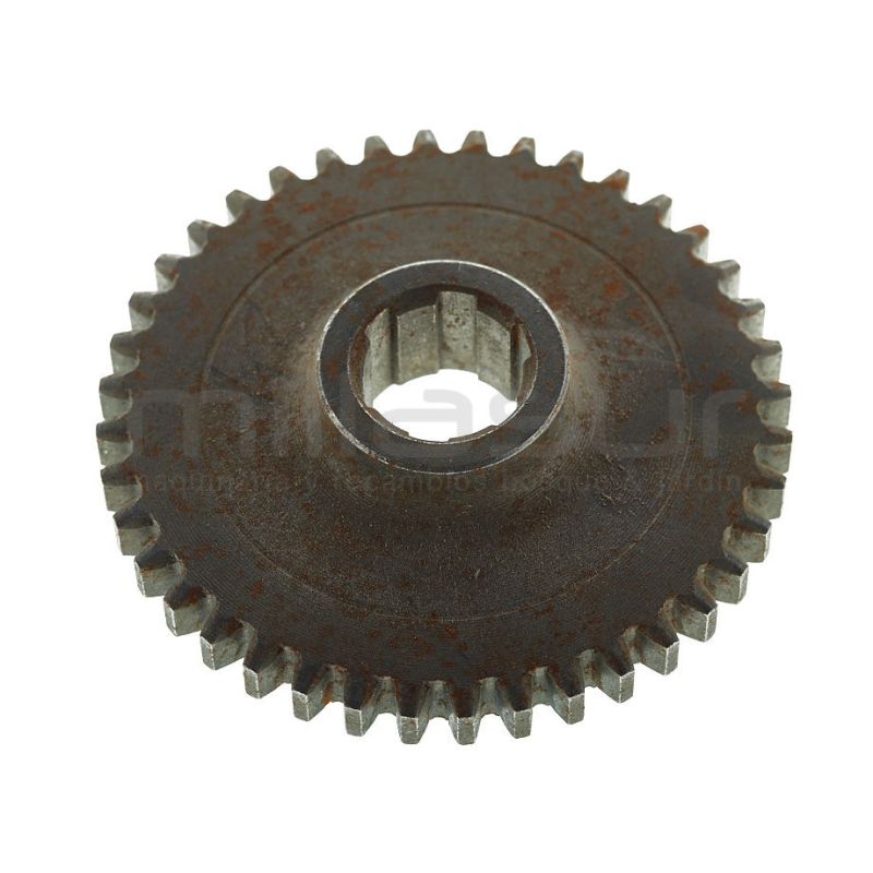 PIÑON 2ª VELOCIDAD (16) - motoscamaralweb.com