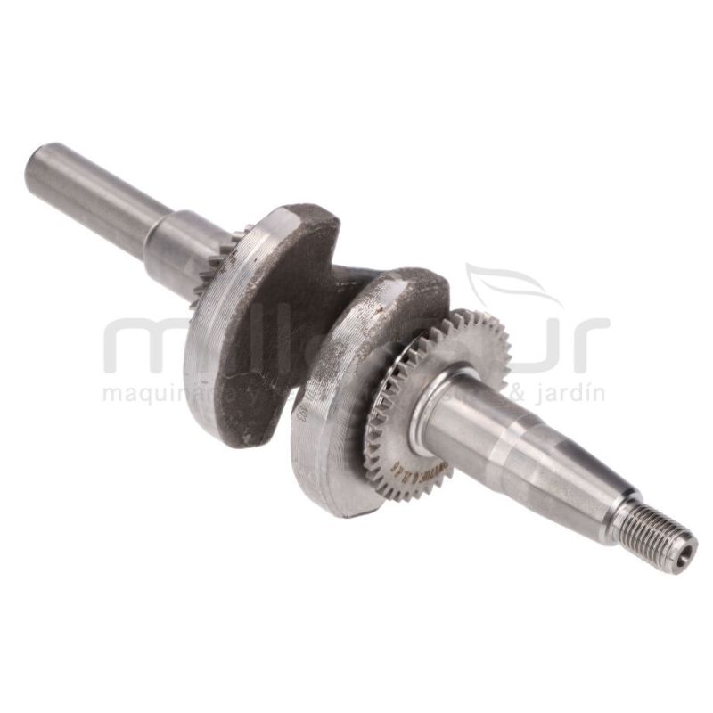 CIGÜEÑAL MC509 (27) - motoscamaralweb.com