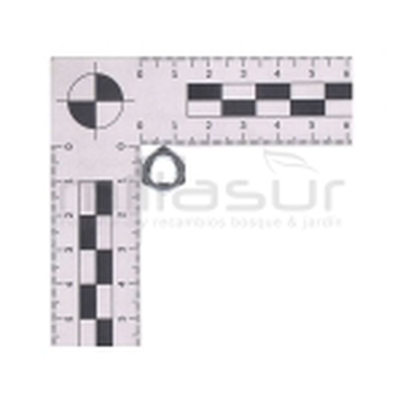 TUERCA CAMPANA EMBRAGUE M8 MC52 (32) - motoscamaralweb.com