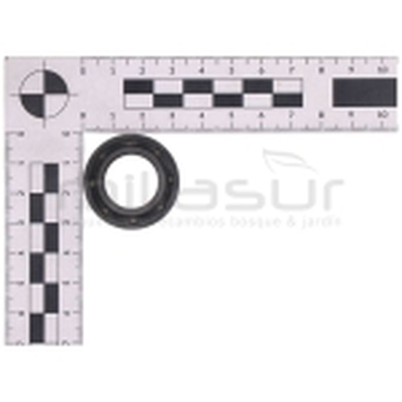 RETEN 19X32X6.5 MC52 (42) - motoscamaralweb.com