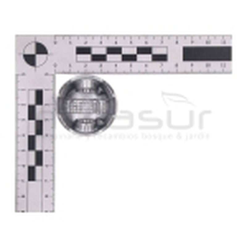 PISTON MC52 (29) - motoscamaralweb.com