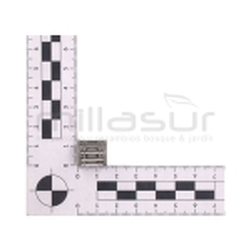 RODAMIENTO PISTON MC52 (26) - motoscamaralweb.com