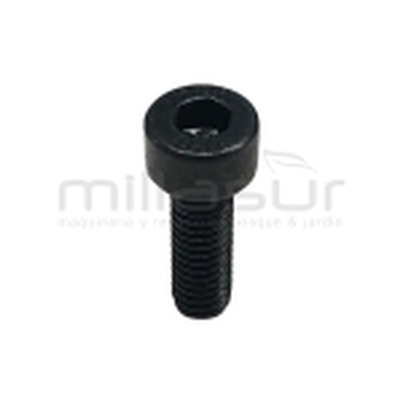 TORNILLO APRIETE BRIDA MG2500 M4x12 (44) - motoscamaralweb.com