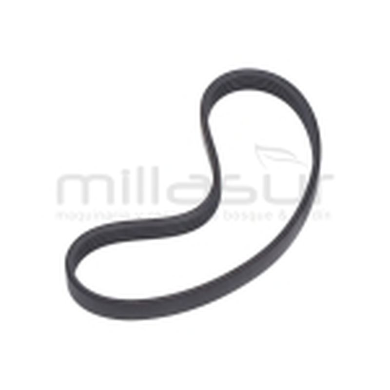 CORREA EPJ373 CA30S (B 14) - motoscamaralweb.com