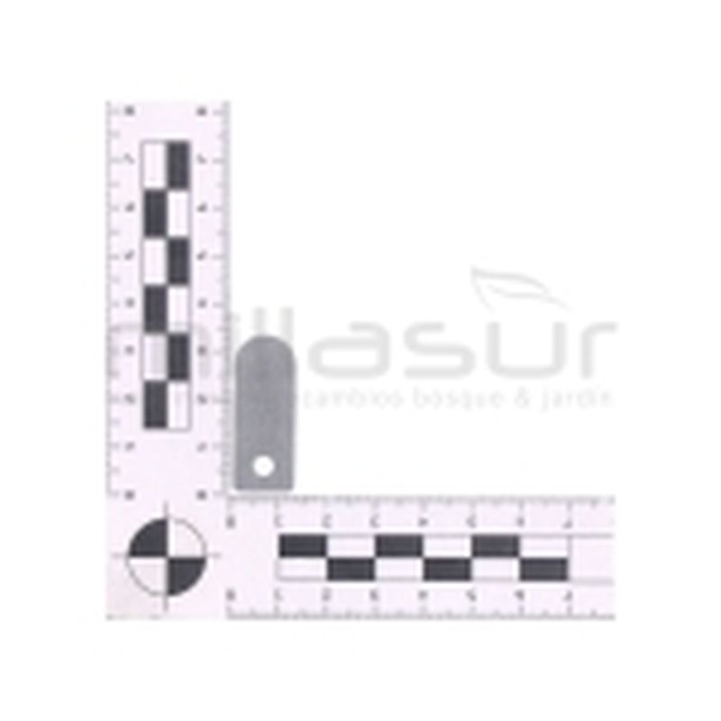 LAMINA PLACA VALVULA CA50S (B 1.17) - motoscamaralweb.com