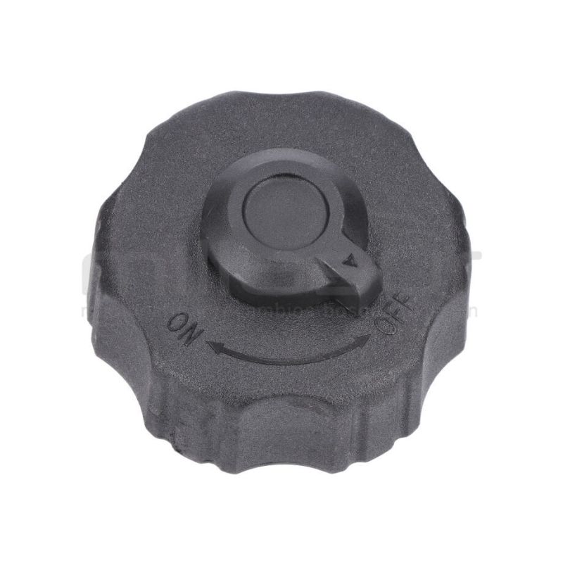 TAPÓN DEPÓSITO DE COMBUSTIBLE GI2200 - motoscamaralweb.com