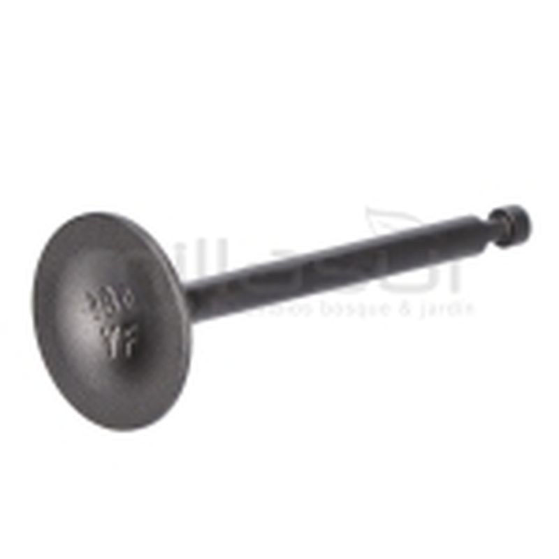 VÁLVULA DE ADMISIÓN GI2200 - motoscamaralweb.com