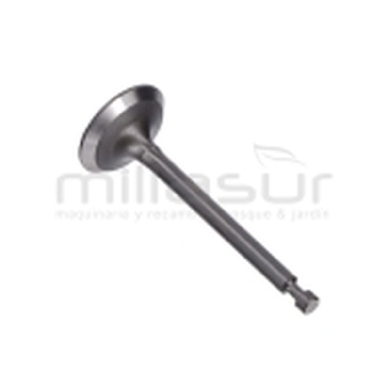 VÁLVULA DE ADMISIÓN GI2200 - motoscamaralweb.com