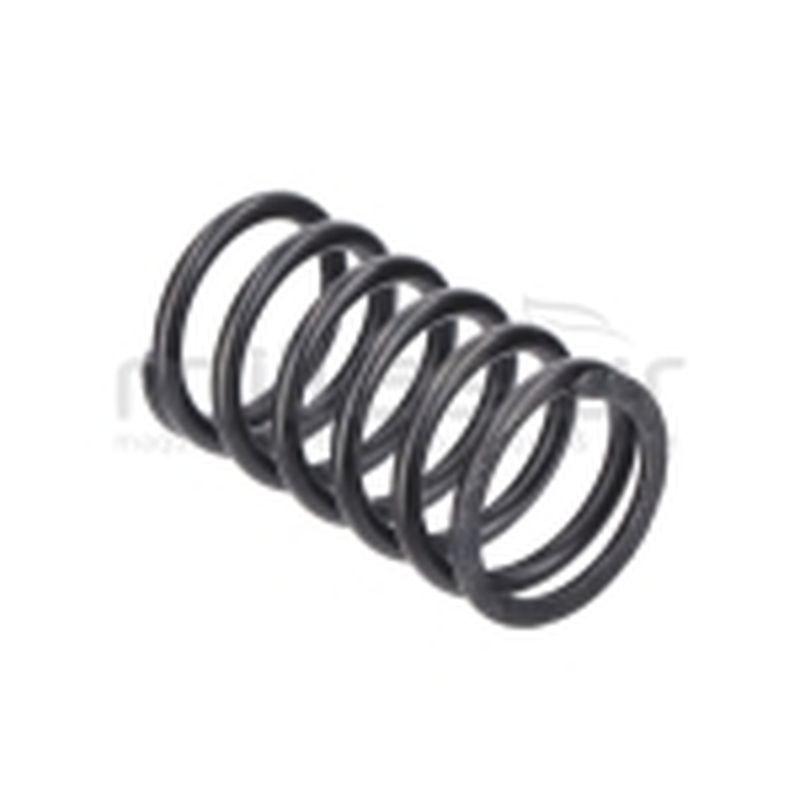MUELLE DE VÁLVULA GI2200 - motoscamaralweb.com