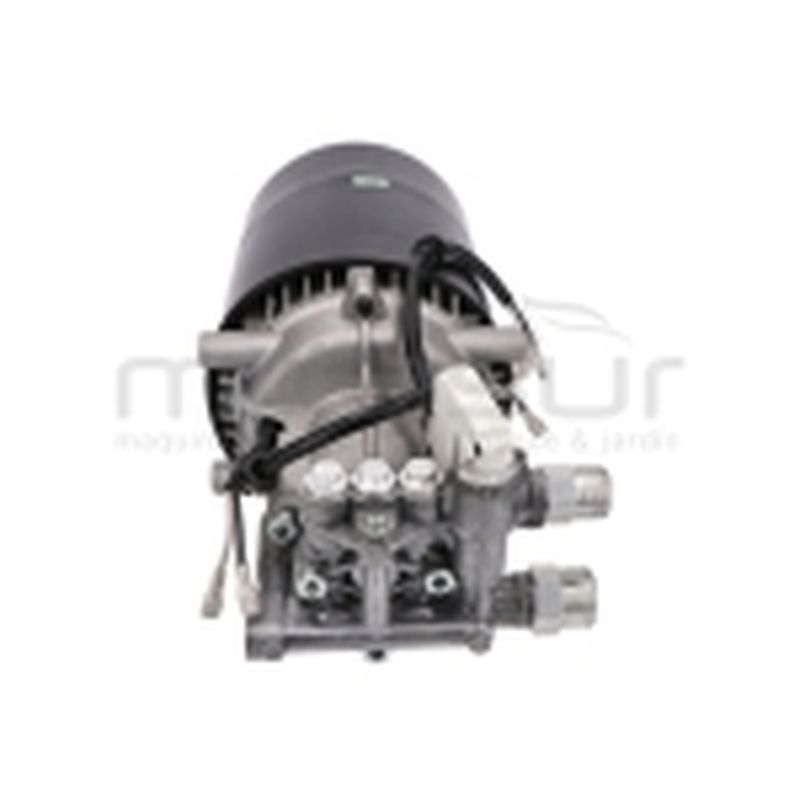 MOTOR CON BOMBA H1950 (19) - motoscamaralweb.com