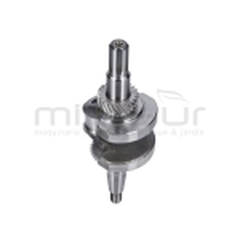 CIGUEÑAL MC1001 - motoscamaralweb.com