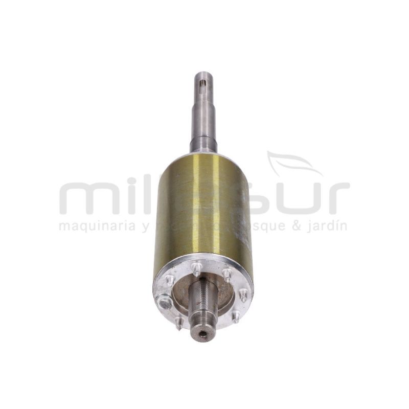 ROTOR (10) - motoscamaralweb.com