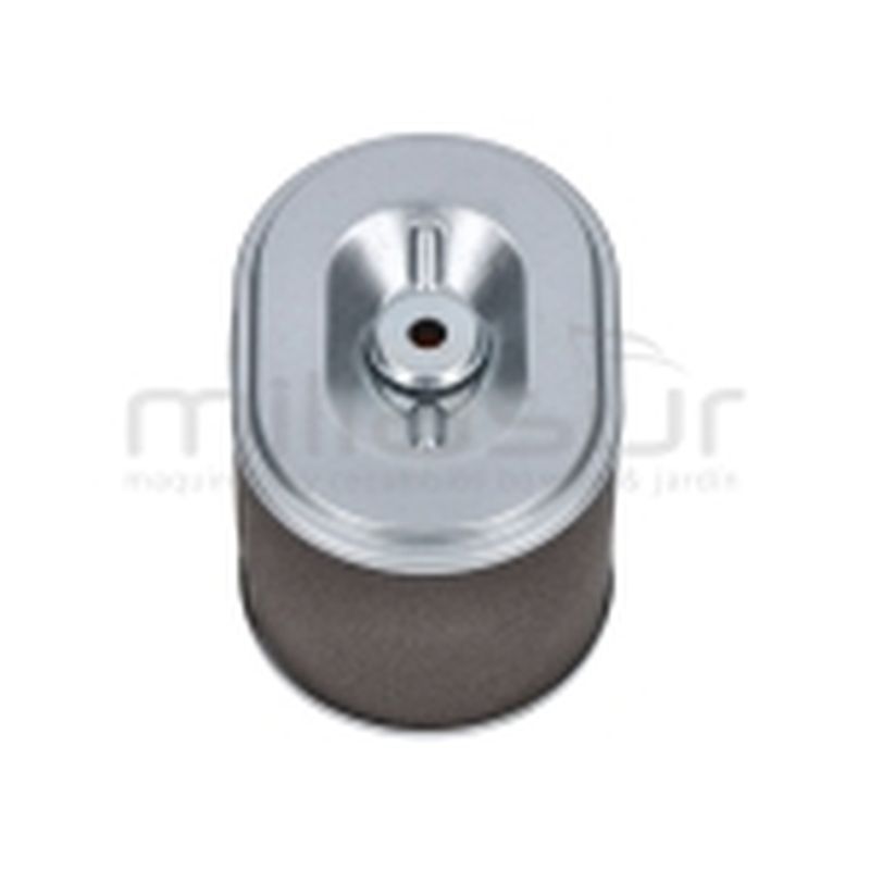 FILTRO AIRE G200F (4) - motoscamaralweb.com