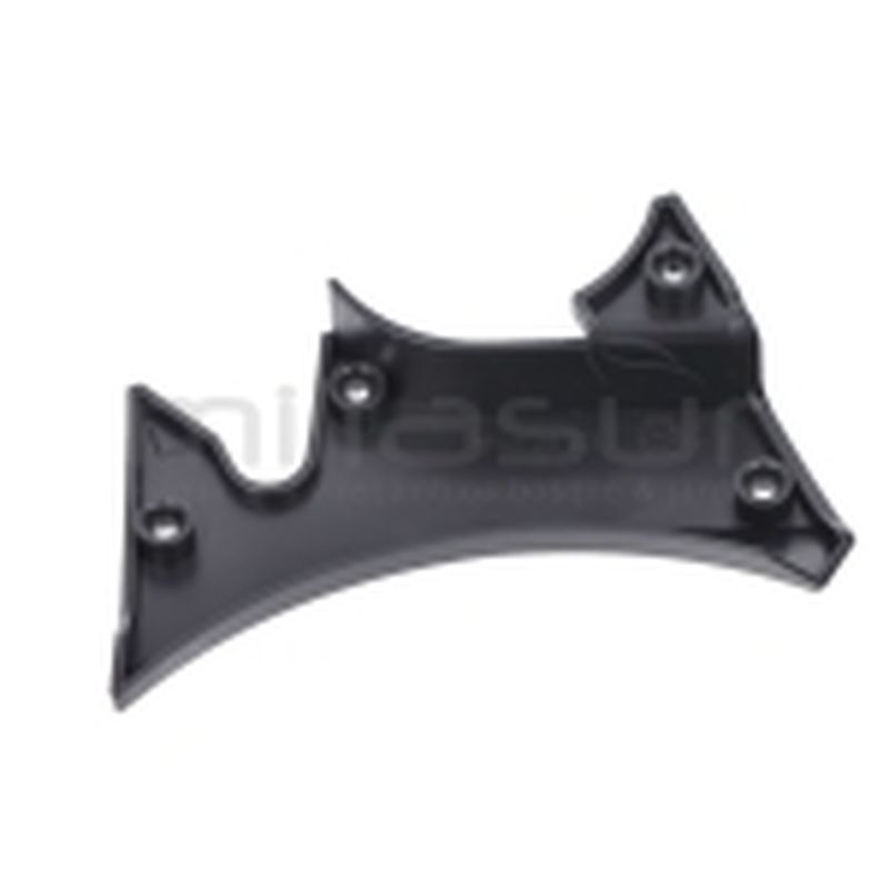 EMBELLECEDOR IZQUIERDO E20CC (22) - motoscamaralweb.com