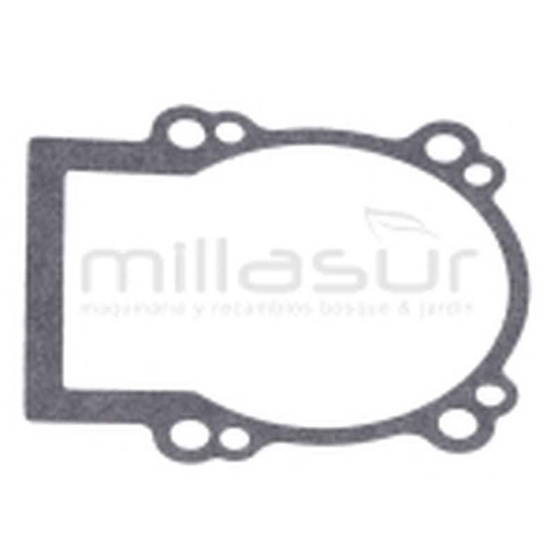 JUNTA CARTER D526 (37) - motoscamaralweb.com