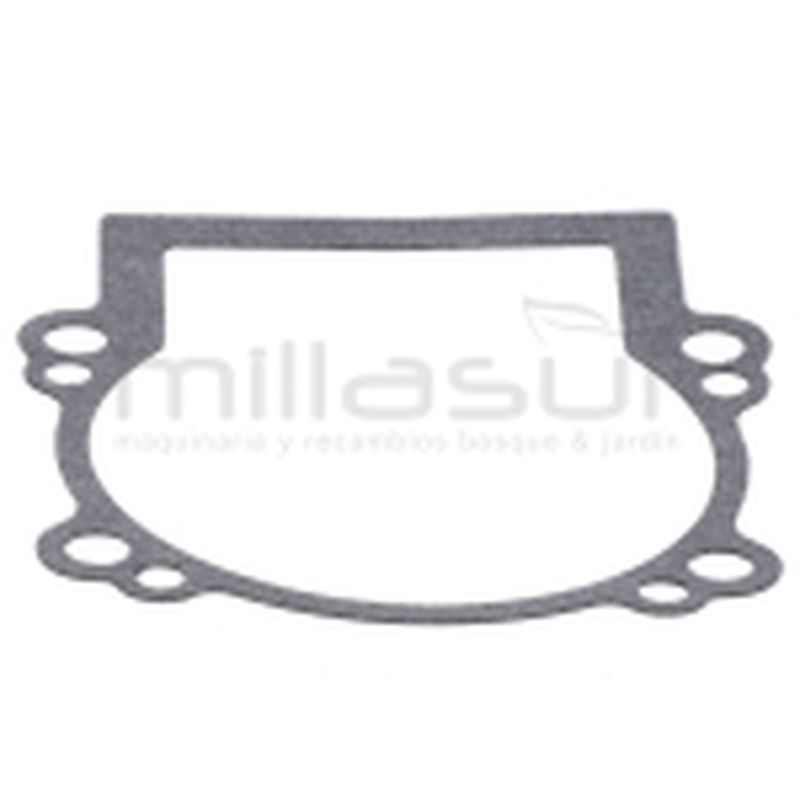 JUNTA CARTER D526 (37) - motoscamaralweb.com