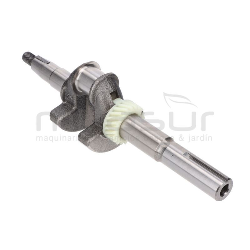 CIGÜEÑAL CC340PT (29) - motoscamaralweb.com