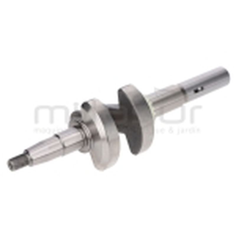 CIGÜEÑAL CC340PT (29) - motoscamaralweb.com