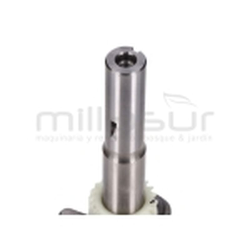 CIGÜEÑAL CC340PT (29) - motoscamaralweb.com