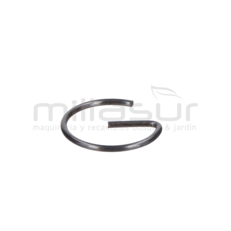 PRESILLA BULON CC340PT (33) - motoscamaralweb.com