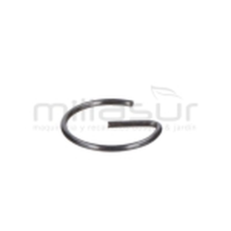 PRESILLA BULON CC340PT (33) - motoscamaralweb.com