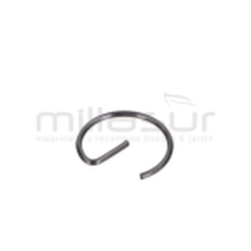 PRESILLA BULON CC340PT (33) - motoscamaralweb.com