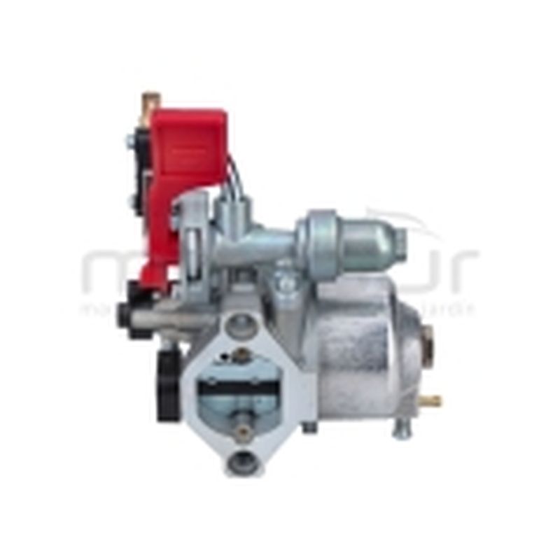CARBURADOR ADAPTABLE A BRIGGS &amp; STRATTON 799060 595318 798523 - motoscamaralweb.com