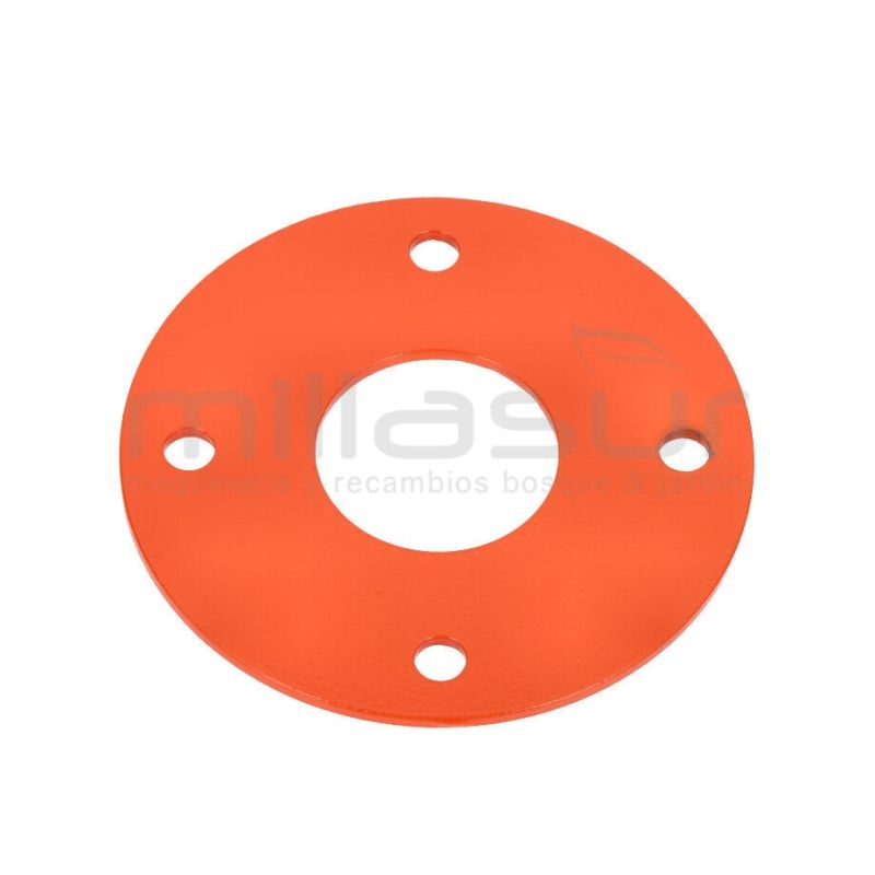 BRIDA MOTOR-TAMBOR BIO50S(13) - motoscamaralweb.com