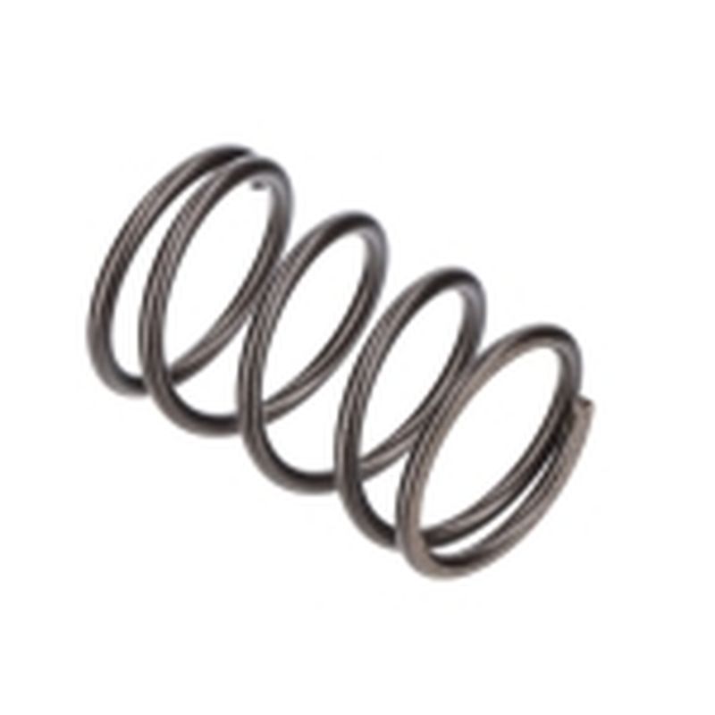 MUELLE VALVULAS GF200FA (196CC) (8) - motoscamaralweb.com