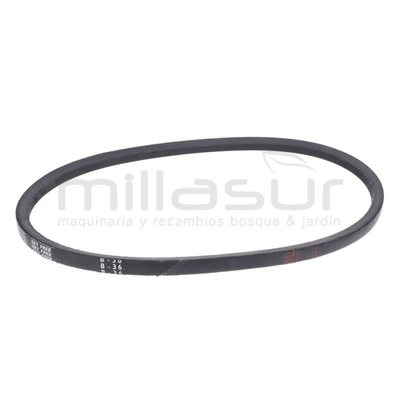 CORREA (60) - motoscamaralweb.com