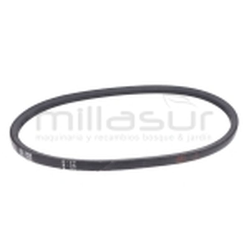 CORREA (60) - motoscamaralweb.com