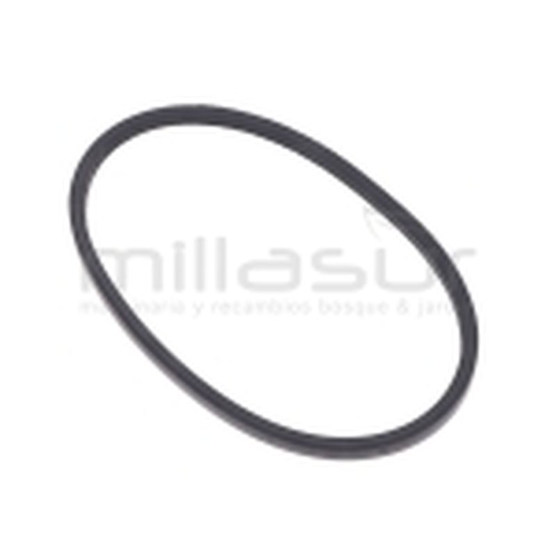 CORREA (60) - motoscamaralweb.com