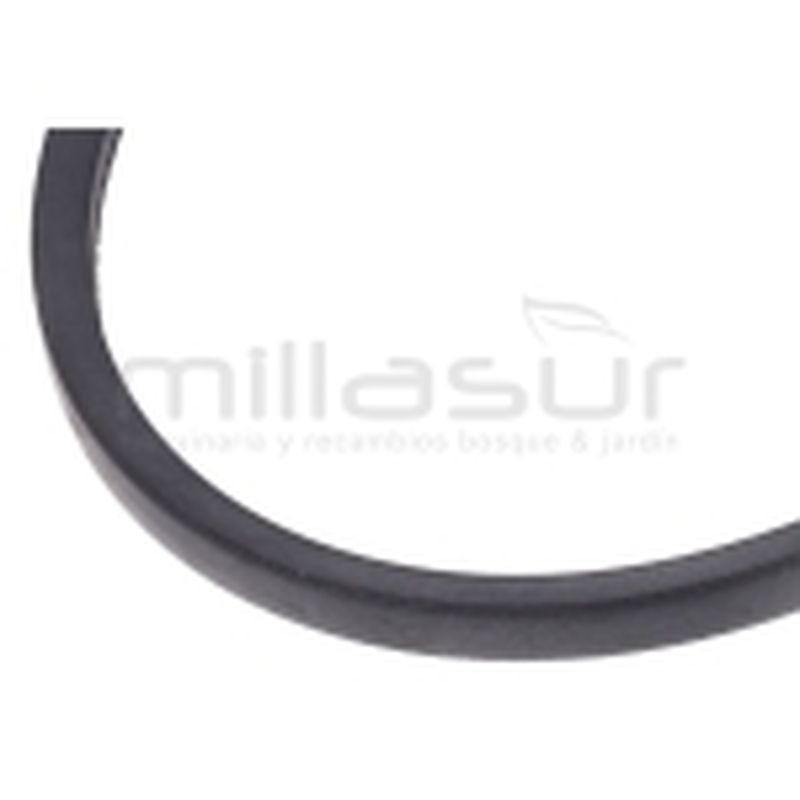 CORREA (60) - motoscamaralweb.com