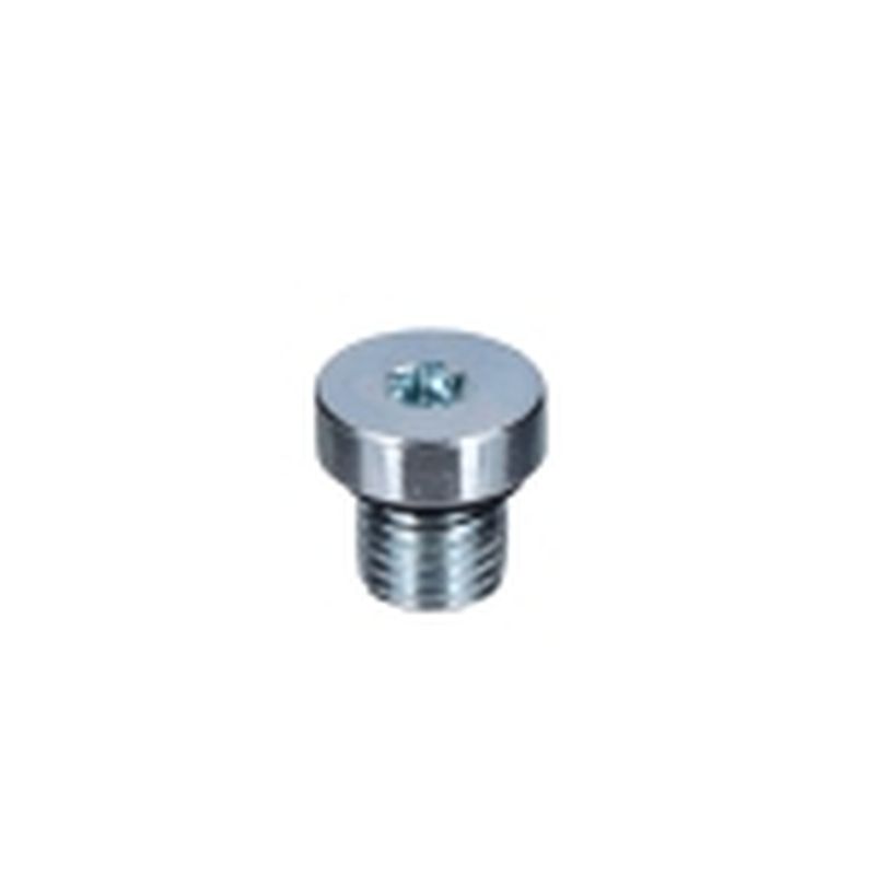 TORNILLO ENGRASE M8X8 E60HT (54) - motoscamaralweb.com