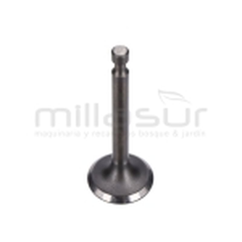 VALVULA ESCAPE CC340PT (67) - motoscamaralweb.com