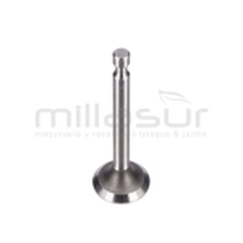 VALVULA ADMISION CC340PT (68) - motoscamaralweb.com