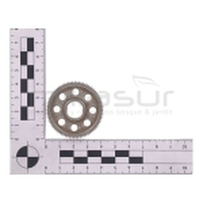 PIÑON PRINCIPAL (19) - motoscamaralweb.com