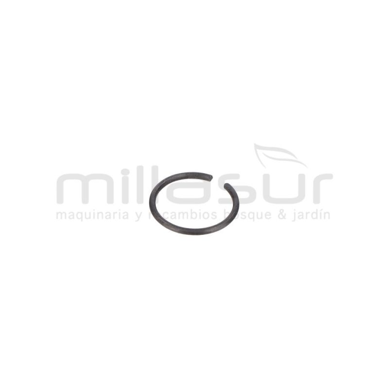 PRESILLA M10 (21) - motoscamaralweb.com