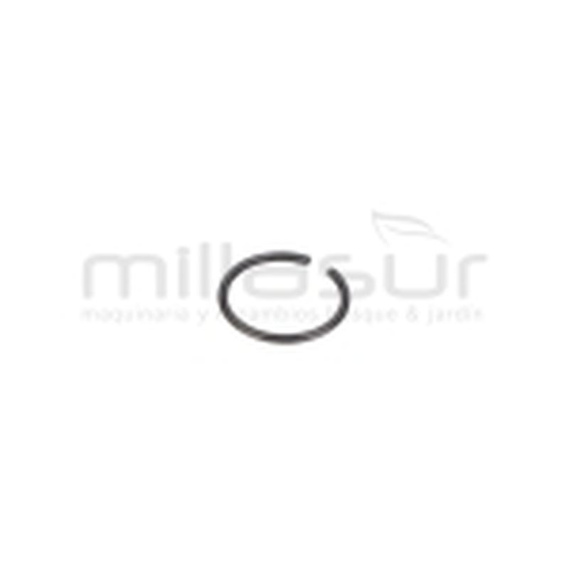 PRESILLA M10 (21) - motoscamaralweb.com