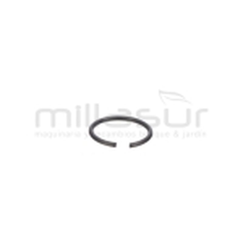 PRESILLA M10 (21) - motoscamaralweb.com