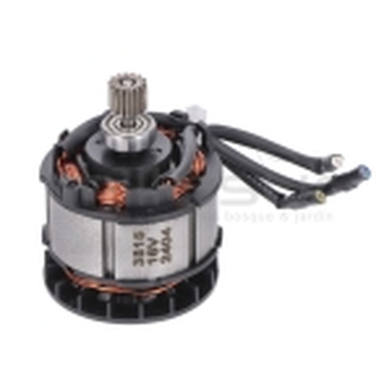 MOTOR (24) - motoscamaralweb.com