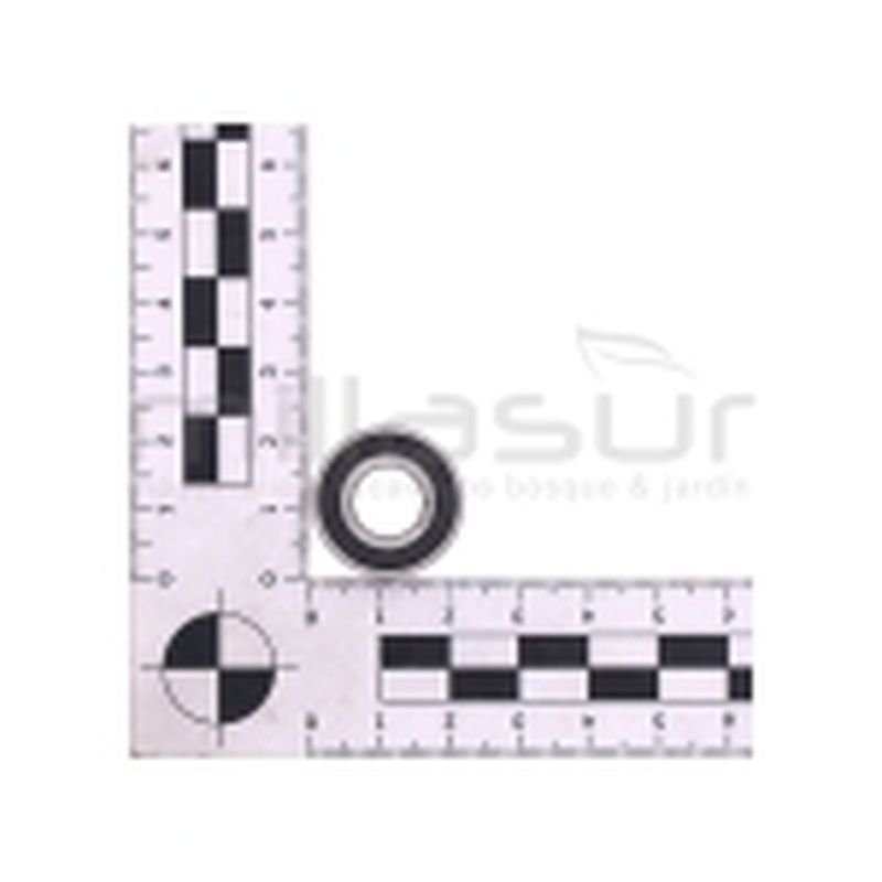 RODAMIENTO 6900RS EJE SALIDA MB500 (34) - motoscamaralweb.com